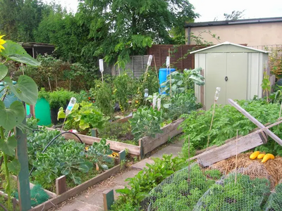 Local MP Tim Farron has called on South Lakeland District Council to look at bringing small plots of disused land back into use as community allotments all over the South Lakes.